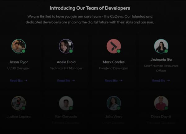 professional developers